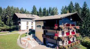 Pension Waldruh - Tannenheim - Image 5