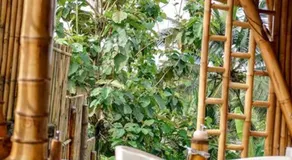 Rania Bamboo Villa by Broga - Image 3