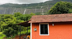 Jungle Homes - Image 3