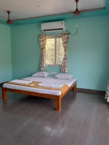 Babas Farm(Magar) - Image 4