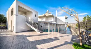 Elia Tree Studios - Image 5