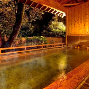 Iga AkameOnsen Taisenkaku - Image 3