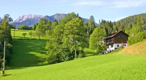Landhaus Gaisriegl - Image 4