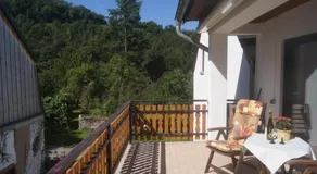 Pension zur Mühle - Image 4