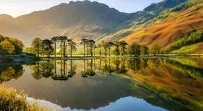 Dog Friendly Lakeland Apartment - Private Parking - Central Location - Image 4