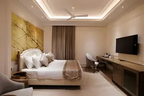 MAHARAJA PALAZZO - Image 4