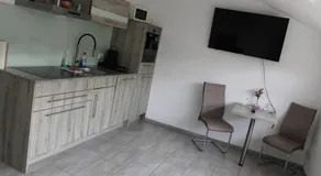 Business Apartment Turgi - Image 5