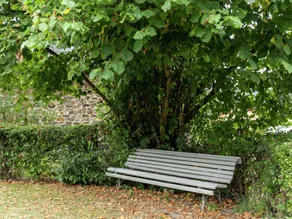 Grazioso cottage a Stoumont - Image 4