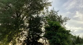 mom's home - Image 5