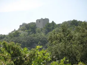 18th century country house on beautiful private domain of 8 ha with private Pool - Image 2