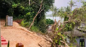 Jungle Beach Inn - Image 4