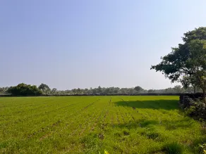 Coconut Farm stay - Near Somnath - Image 5