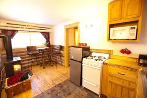 Colorado Cabin Adventures - Image 4