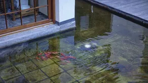Dali Yanhuang Kangyang Inn (Longqi Wharf Bohai Branch) - Image 3