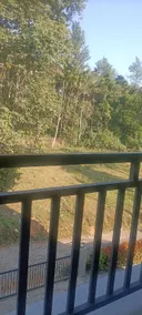 Wild wind - Image 2