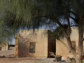 Desert Days Negev Ecolodge - Image 5