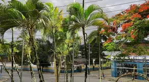 Hotel Lima - Image 5
