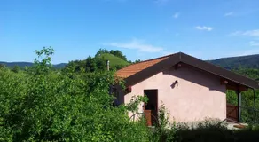 La Volpe e la Luna - Image 5