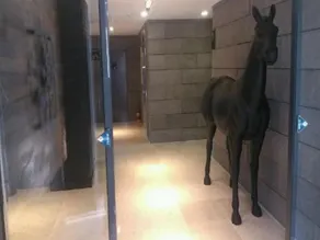 Hotel ITW - Image 3