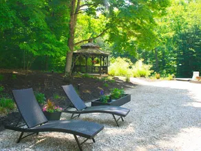 The Yellowwood - Image 2