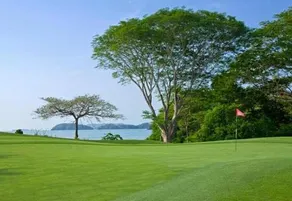 Carao Villa 7 - Luxurious Villa in the exclusive Reserva Conchal - Image 4