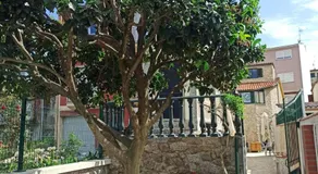 A casiña de Estela - Image 5