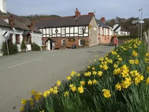 The Mulberry Inn - Image 3