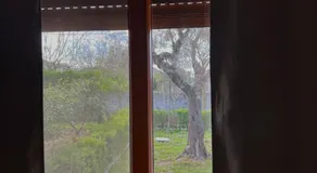3 Roots Villa - Image 2