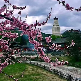 PAI Hotels·Wutai Mountain Wuye Temple - Image 4