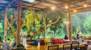 สวนฉัน Igarden - Image 5