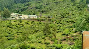 Lassana Villa - Image 3