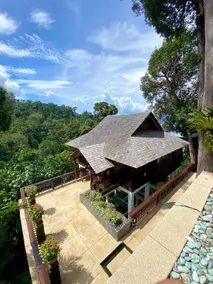 Tropical Forest Lodge (Suite Unit) - Image 5