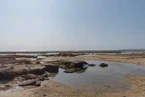 RedDoorz near Pantai Ujung Genteng - Image 3