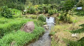 Glamping Azalea Tawangmangu - Image 4