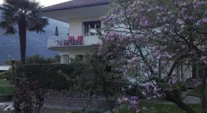 Torilan - Image 5