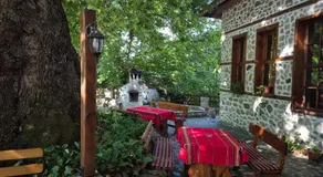 Стария Чинар - Image 4
