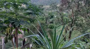 Estudio La Higuera - Image 5