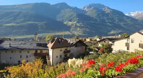 Garni Schuster - Image 4
