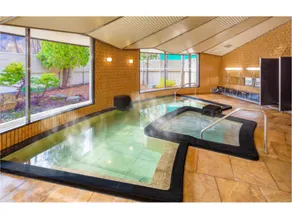Asarigawa Onsen Hotel - Image 2