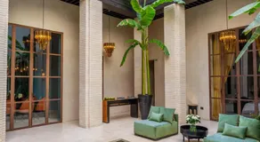 Riad Tajania - Image 3
