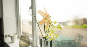 Freshly Renovated Apartment on High Street - Image 4