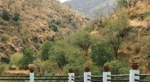 Molino Laroya - Image 4