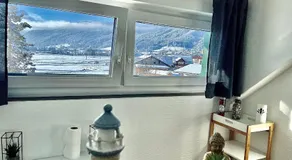 Almsternderl 2.0 - gemütliches Appartment in Gosau - Image 2