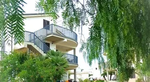 IL MELOGRANO RESIDENCE MARZAMEMI - Image 4
