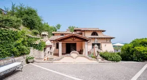 Olivella - Image 3