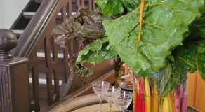 Etoile Alsacienne - Image 4