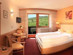 Hotel Eichenhof - Image 2