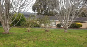 Country breeze - Image 4