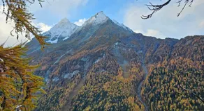 Chalet Alpin vue Dent Blanche - Image 3