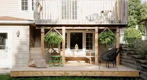 The Dainty Petunia - Image 3